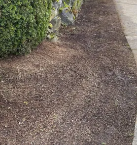 Weedy strip cleared, after