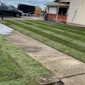 Dirt to lawn, after