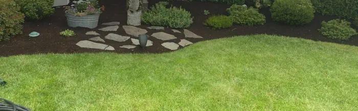Front yard cleaned up by Jose's Lawn Services