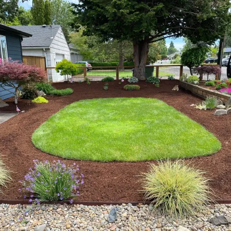 Lawn island with fresh bark and plantings by Jose's Lawn Services