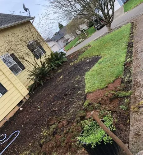 Clean beds and lawn after a fall cleanup