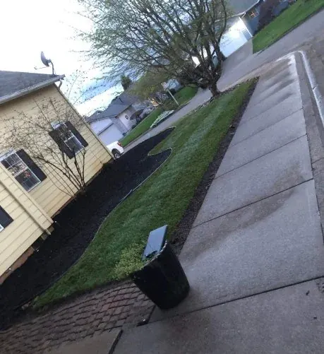 Front beds cleaned and edged