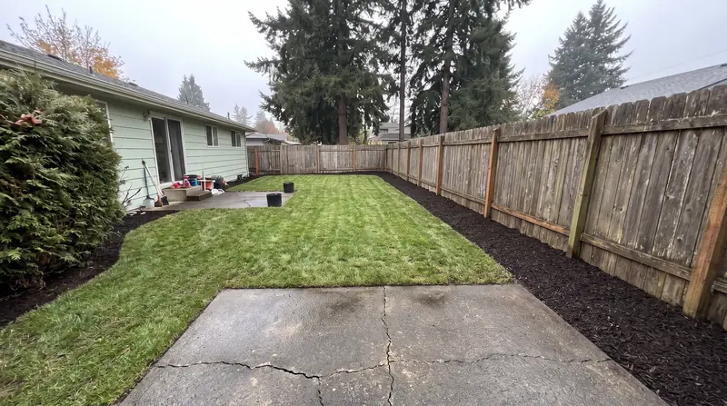 Backyard in Salem after a full yard cleanup with fresh bark and a clean lawn